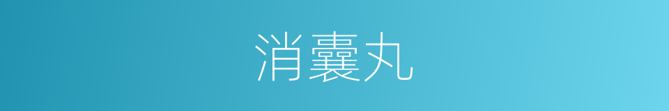 消囊丸的同义词
