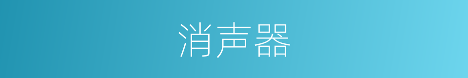 消声器的意思