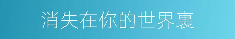 消失在你的世界裏的同義詞
