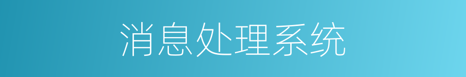 消息处理系统的同义词