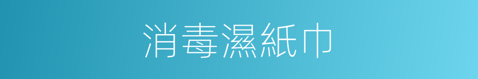 消毒濕紙巾的同義詞
