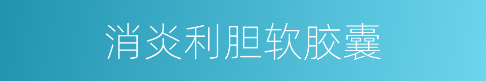 消炎利胆软胶囊的同义词