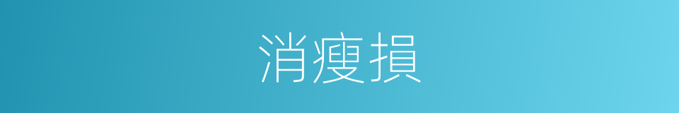 消瘦損的同義詞