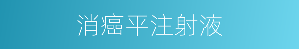 消癌平注射液的同义词