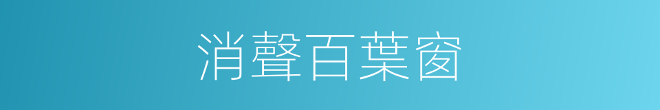 消聲百葉窗的同義詞