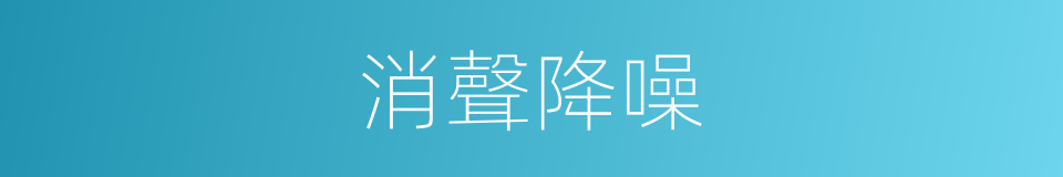 消聲降噪的同義詞