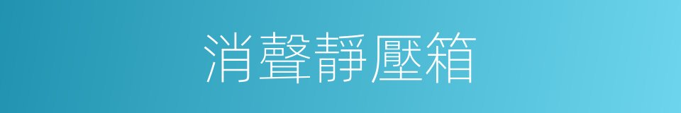 消聲靜壓箱的同義詞