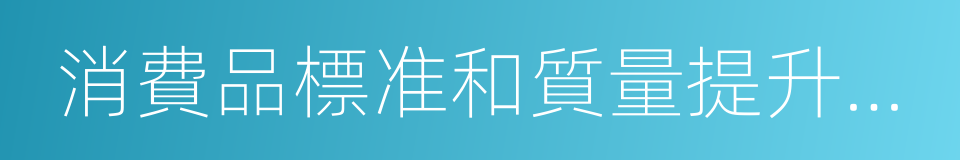 消費品標准和質量提升規劃的同義詞