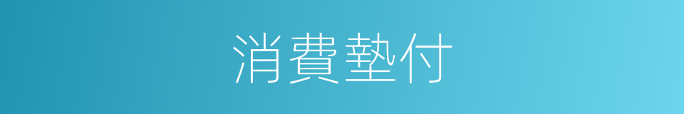 消費墊付的同義詞