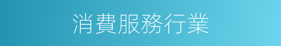 消費服務行業的同義詞