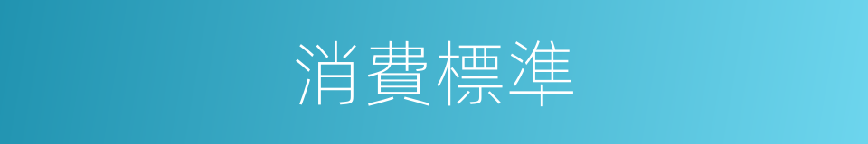 消費標準的同義詞