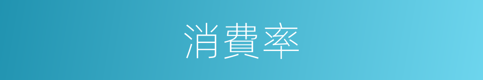 消費率的同義詞