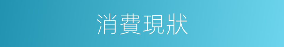 消費現狀的同義詞