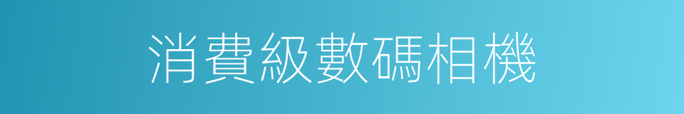 消費級數碼相機的同義詞