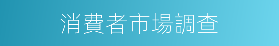 消費者市場調查的同義詞