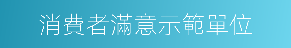 消費者滿意示範單位的同義詞