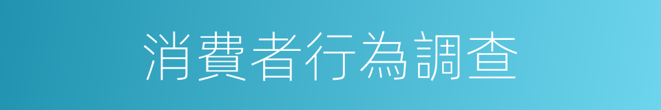 消費者行為調查的同義詞