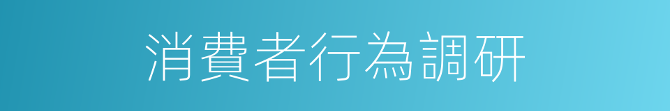 消費者行為調研的同義詞