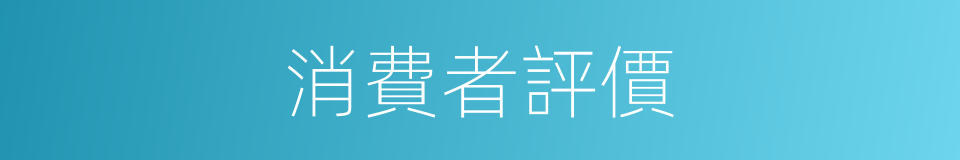 消費者評價的同義詞