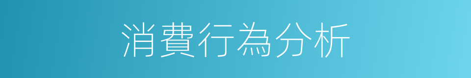 消費行為分析的同義詞