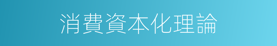 消費資本化理論的同義詞