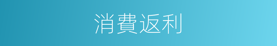 消費返利的同義詞