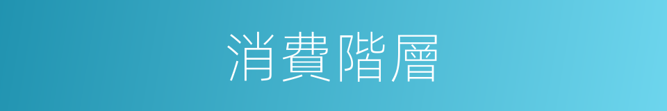 消費階層的同義詞