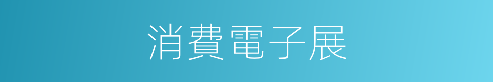 消費電子展的同義詞