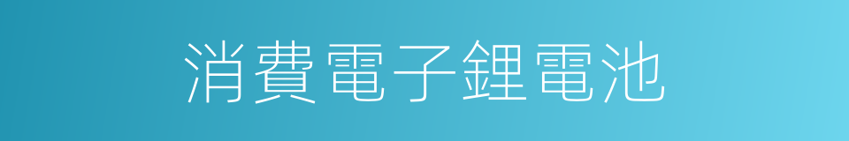 消費電子鋰電池的同義詞