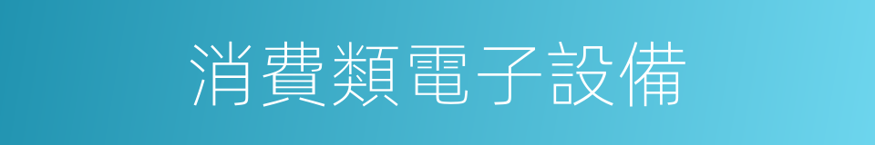 消費類電子設備的同義詞