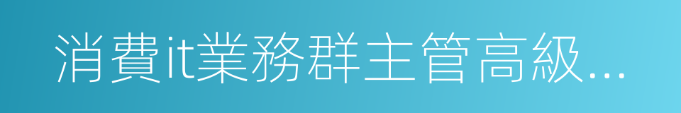 消費it業務群主管高級副總裁的同義詞