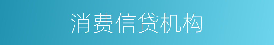 消费信贷机构的同义词