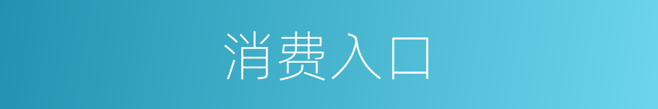 消费入口的同义词