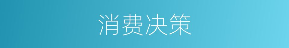 消费决策的同义词