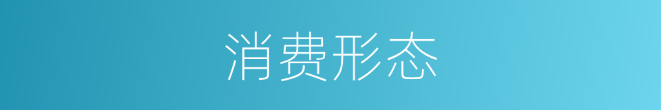 消费形态的同义词