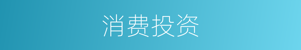 消费投资的同义词