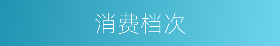 消费档次的同义词