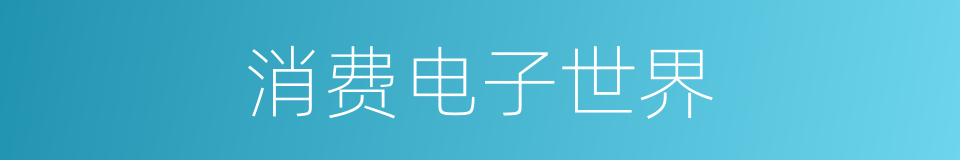 消费电子世界的同义词