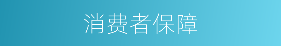 消费者保障的同义词