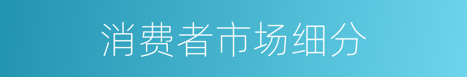 消费者市场细分的同义词