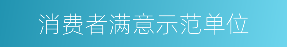 消费者满意示范单位的同义词