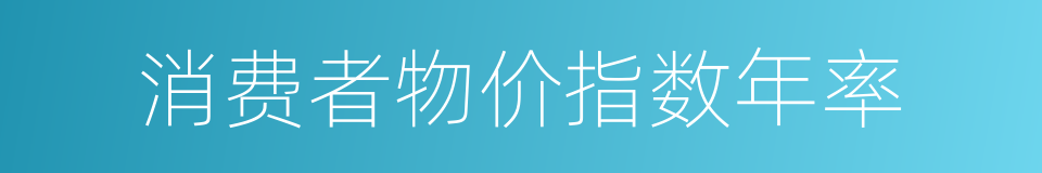 消费者物价指数年率的同义词