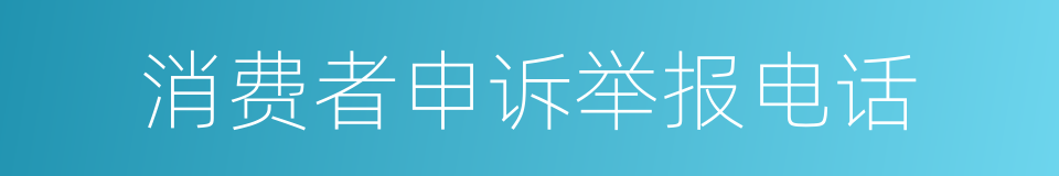 消费者申诉举报电话的同义词