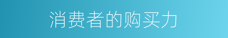 消费者的购买力的同义词