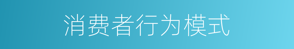 消费者行为模式的同义词