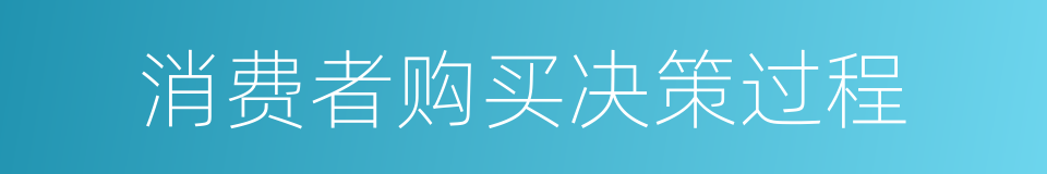 消费者购买决策过程的同义词