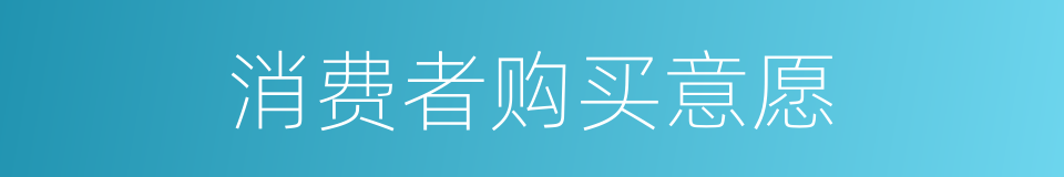 消费者购买意愿的同义词