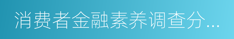 消费者金融素养调查分析报告的同义词