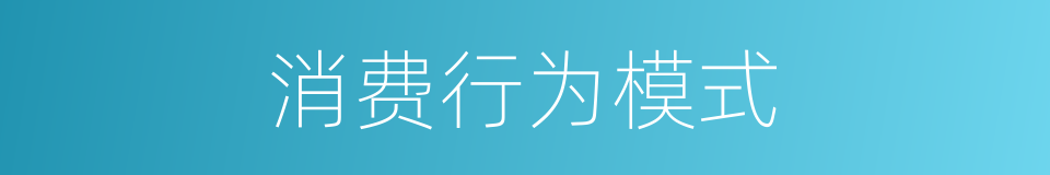 消费行为模式的同义词