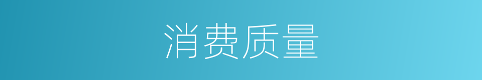 消费质量的同义词